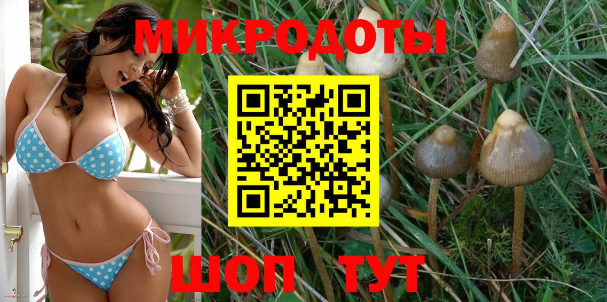 Советск  Галлюциногенные грибы Cubensis  Галлюциногенные грибы мухоморы  Вход с VPN 