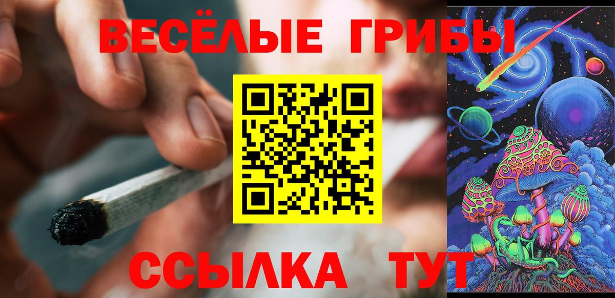 Галлюциногенные грибы GOLDEN TEACHER Советск